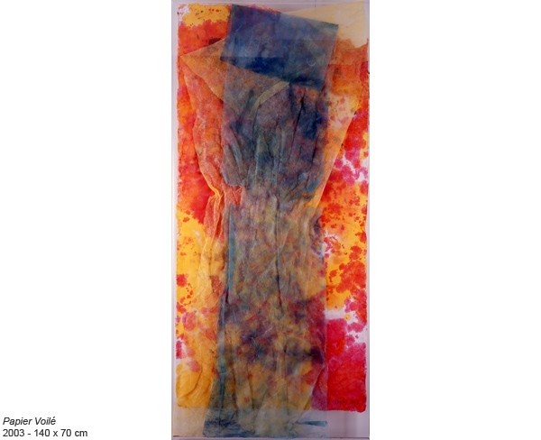 https://www.beatrice-casadesus.fr/files/gimgs/th-20_casadesus_PapiersVoiles_5.jpg