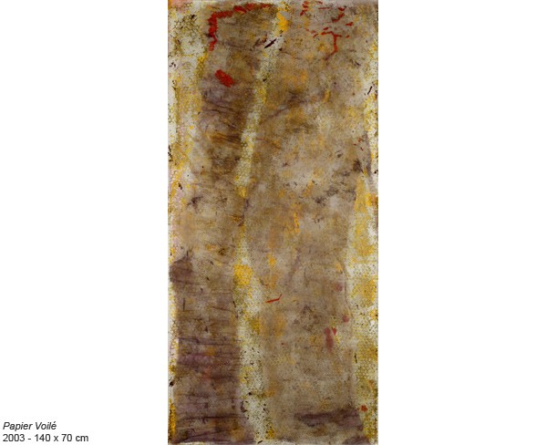 https://www.beatrice-casadesus.fr/files/gimgs/th-20_casadesus_PapiersVoiles_7.jpg