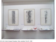 https://www.beatrice-casadesus.fr/files/gimgs/th-62_Casadesus_Vues-Expos_28_Pompidou_2009.jpg