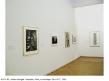 https://www.beatrice-casadesus.fr/files/gimgs/th-62_Casadesus_Vues-Expos_36_Pompidou_2009.jpg