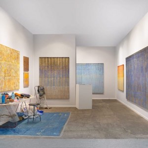 https://www.beatrice-casadesus.fr/files/gimgs/th-79_dutko_artparis_2019_casadesus_web2.jpg